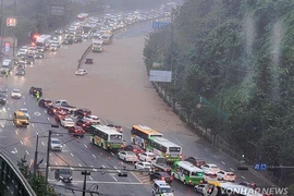 Mưa kỷ lục ở Hàn Quốc, nhiều người thiệt mạng