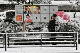 NHK: Đảng LDP của Thủ tướng Takaichi sẽ thắng lớn ở Hạ viện Nhật