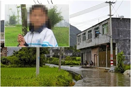 Giết con, chặt xác, phi tang ở nhà vệ sinh công cộng vì con học kém