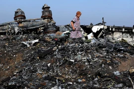 Moscow có lý khi nghi ngờ MH17 bị máy bay Kiev bắn hạ