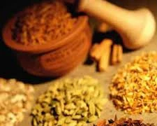 Nga 'thích thú' nền Y học cổ truyền Trung Quốc