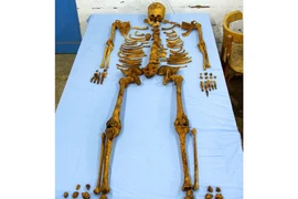 Giải mã cái chết bi thảm của vị Pharaoh không được ướp xác