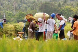 Sơ tán trước siêu bão nhiệt đới Noul đổ bộ vào Philippines