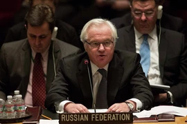Nga kêu gọi Liên Hợp Quốc 'mạnh tay hơn' vụ điều tra MH17