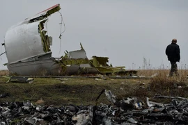 Hà Lan từ chối công bố tài liệu vụ máy bay MH17