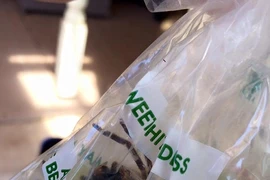 Hoảng hồn phát hiện 'thai phụ' nhện khổng lồ trong túi nho siêu thị