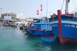 Tàu cá của ngư dân Việt Nam neo đậu tại cảng cá Lý Sơn, Quảng Ngãi. Ảnh: TẤN VIỆT 