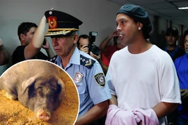 Ronaldinho ghi 5 bàn giúp bạn tù vô địch, nhận thưởng heo sữa 