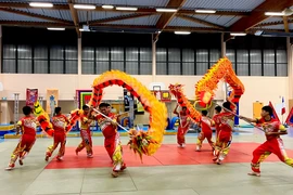 Lân Sư Rồng và Vovinam trình diễn ngoạn mục tại Pháp