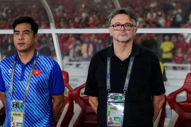 VFF bồi thường cho HLV Troussier bao nhiêu tiền?