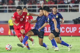 Đội tuyển Indonesia đi máy bay thương mại sang Hà Nội, HLV Shin Tae-yong xin lỗi
