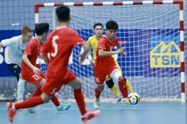 VFF chính thức gửi văn bản cho AFF yêu cầu làm rõ sự cố hiển thị sai quốc kỳ