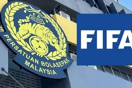 FIFA tiết lộ sự thật gây chấn động, FAM kiện ra tòa