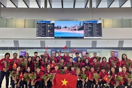 Tuyển Việt Nam đổ bộ Úc, lặng thầm giấc mơ World Cup