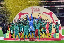 Hy hữu: Bị tước cúp sau khi ăn mừng đã 2 tháng, Senegal kiện ra tòa