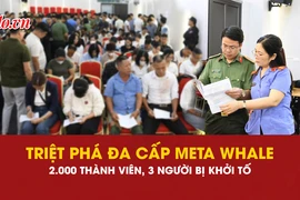 đa cấp, triệt phá, Meta Whale, an ninh