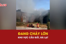 Đang cháy ở khu vực Cầu Đất, phường Xuân Trường, TP Đà Lạt