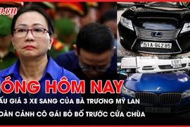 đấu giá, xe sang, Trương Mỹ Lan