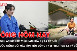 hành hạ, giúp việc, tuyên án, bùi đình khánh, nước giếng 