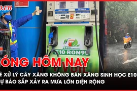 Nóng hôm nay, xăng sinh học, Bộ Công Thương