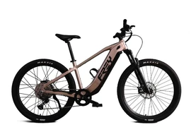 Xe đạp điện có động cơ 1.000W đi được gần 200 km