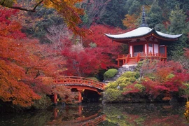 Những điều cần biết trước khi đi du lịch Tokyo, Nhật Bản