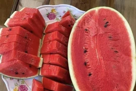 Một số siêu thực phẩm mùa hè nên bổ sung vào chế độ ăn uống của bạn