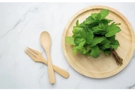 Một số loại thảo mộc thân thiện với mùa hè giúp cơ thể mát mẻ