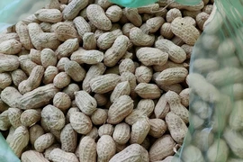 Một số loại thực phẩm giàu protein để tiêu thụ khi nhịn ăn gián đoạn chay