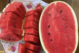 Ăn dưa hấu thường xuyên trong mùa nóng, chuyện gì xảy ra với sức khỏe?