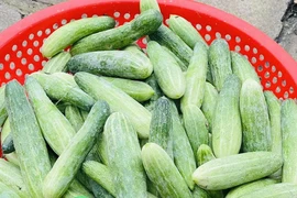 Ăn dưa chuột trong mùa nóng, chuyện gì xảy ra với sức khỏe?