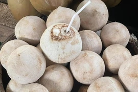 Uống nước dừa mỗi ngày, chuyện gì xảy ra với sức khỏe?