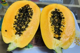 Mẹo giải độc gan hiệu quả