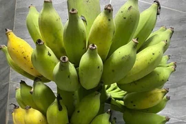 Tiêu thụ chuối trước khi đi ngủ có thực sự giúp ngủ ngon hơn không?