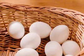 Bất ngờ với tác dụng của trứng gà đối với trí não