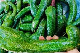 6 thực phẩm giúp giảm mỡ nội tạng