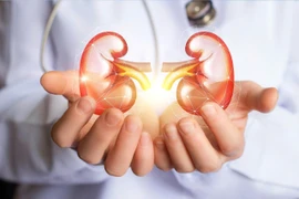 Những thói quen này đang âm thầm gây hại cho sức khỏe thận