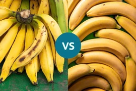 Chuối nào ít calo, tốt cho người 'bụng bia', lo đường huyết?