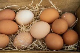 Điều gì xảy ra nếu bạn ăn 2 quả trứng mỗi ngày?