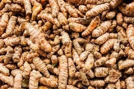 Muốn đốt cháy mỡ thừa nhanh hơn, hãy thêm ngay 5 loại gia vị này vào món ăn