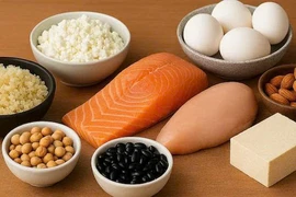 Tầm quan trọng của protein sau tuổi 40 và cách bổ sung để chống teo cơ