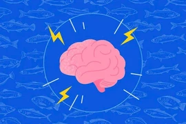 Ăn cá giúp cải thiện trí nhớ và những lưu ý quan trọng cần biết