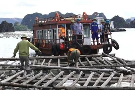 Quảng Ninh: Khai trừ ra khỏi Đảng 4 cán bộ nhận hối lộ