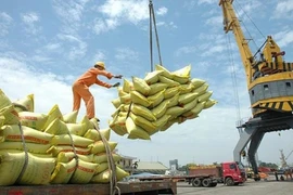 0 giờ đêm 25-4 sẽ mở hệ thống đăng ký tờ khai gạo tồn