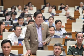 'Trồng rừng thay thế bằng cây keo không đảm bảo được'