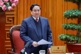 Thủ tướng yêu cầu hoàn thành báo cáo dự án điện hạt nhân trong ngày 27-1