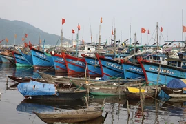 Nghiêm cấm tàu cá không an toàn ra khơi