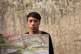 Thuê người câm, điếc đi chặt trộm sưa