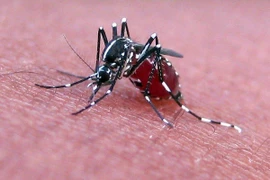 Trái đất nóng lên làm nhiều virus giết người sống lại
