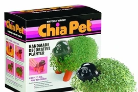 10 món đồ kỳ lạ bán chạy nhất tại Mỹ